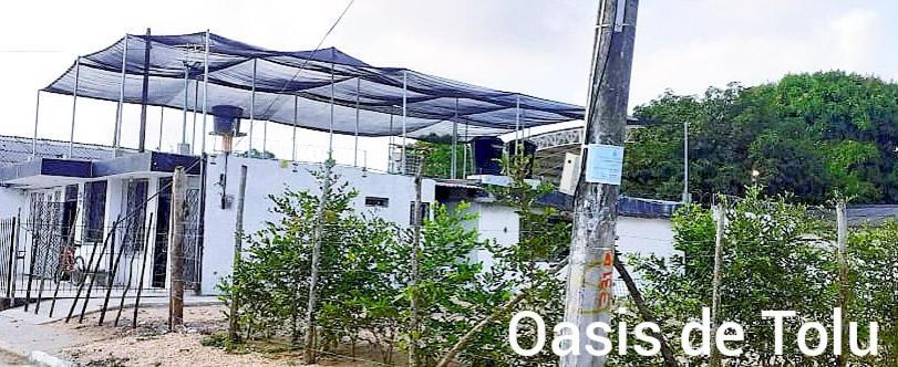 Oasis De Tolu Hotel Exterior photo